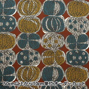 y5z n wȖV[`O AtJt@ubNX^C IjI bh YKA-21000-2Ax KOKKA RbJ