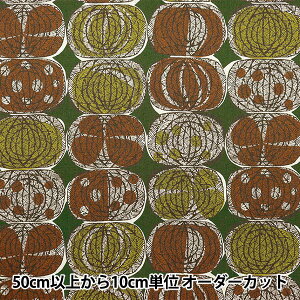 y5z n wȖV[`O AtJt@ubNX^C IjI O[ YKA-21000-2Bx KOKKA RbJ