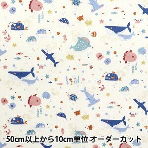 y5z n wV[`O jAXLbY  ItzCg COCO-2024-4Ax