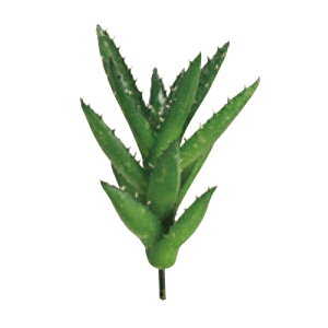  VNt[ wAGsbN O[ FD5057-024x