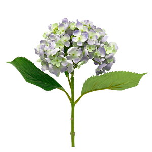  VNt[ wĂ܂肠 u[/p[v GA0229-093x