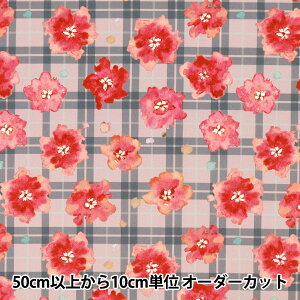 y5z n wʕCNWFbgvg bh 150-1669-A-3x