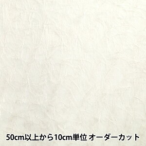 y5z n wJbgWK[h  AC{[ CJAC-LAM-IVx