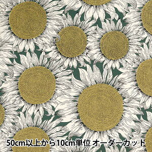 y5z n woeBEt@ubNX 11z n[TVC 3634144-J24Ex Liberty Japan oeBWp