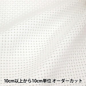 y1z hイz wNo.3000 WoNX25 (e) 6JEg 25 zCg 3011-9x LECIEN VA cosmo RX