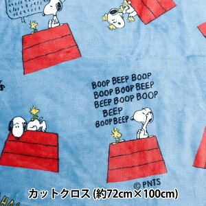 n wtl JbgNX Xk[s[ 72cm×100cm u[ G-3707C-1Bx