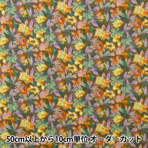 y5z n woeBEt@ubNX GA[Rbg ACB DC28990-J24Dx Liberty Japan oeBWp