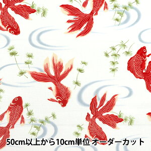 y5z n whr[ a  It 1025-1100-2Ax