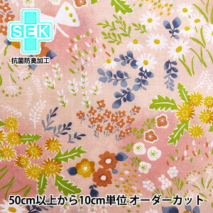 y5zn wRۖhLEv~A\tgH ȃV[`O Luonto(Ig) t̖쌴 sN 148-1256-A2x