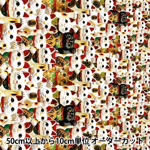 y5z n wV[`O CNWFbgvg L KOM-003x