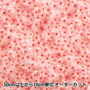 y5z n wV[`O CNWFbgvg  KOM-013x