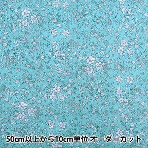 y5z n w60[ `ԕ F CC313096-1x YUWA L֏X V}RNV