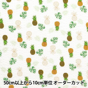 y5z n whHbv pCibv  B-4141-4-1x