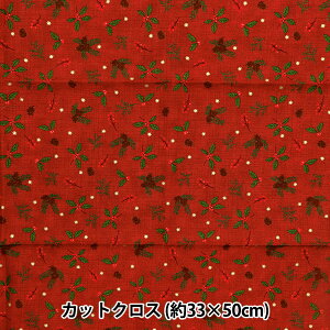 n wpb`[N JbgNX 33cm×50cm NX}X ڂ bh C-DX10619L-Cx