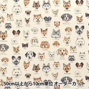 y5z n wIbNX }ӃV[Y  YPA-61000-2Ax KOKKA RbJ