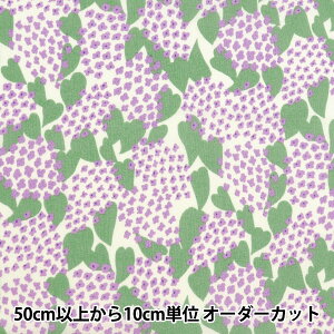 y5z n wkippis (LbsX) V[`O CbN p[v KPS-90Ax