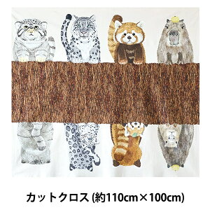 n wz[fR Aj}Y CNWFbgJbgNX  110cm×100cm YGA-79020-1Ax KOKKA RbJ