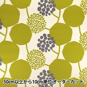 �y����5����z ���n �wechino (�G�`�m) CROP 9.5�����z �L�i��×�C�G���[ EKX98100-100A�x KOKKA �R�b�J