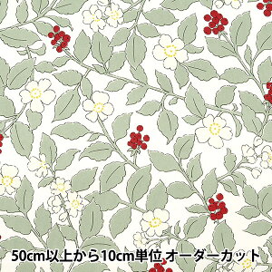 y5z n wcC tbVK[f tbVO[ TWFGR-LGRx