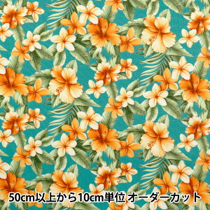 y5z n wu[h nCrXJX ANA~g 4236-1-3x