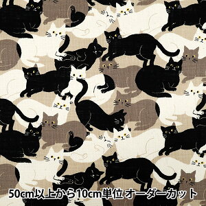 y5z n wlCNXu SjJ[jo uE 850555-1-4x