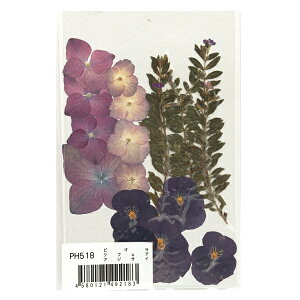 ԃLbg w݂ĉԃpbN rIENtFAEAWTC PH518x