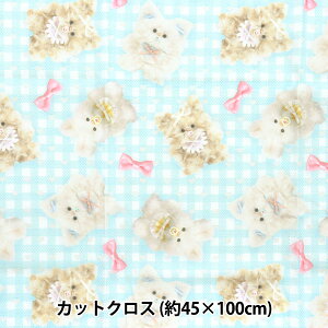 n wimaDOKIkids JbgNX 45cm×100cm ӂӂxr[{ u[ IMAF-22C-BLx KIYOHARA 