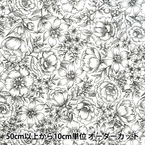 y5z n w60[ 炩H }`K[f `̂ zCg×`R[O[ 60LA-MG223-4Ax