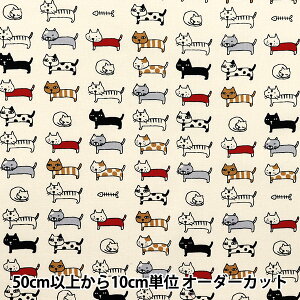 y5z n wV[`O lR  ACS1101-Ax COTTON KOBAYASHI Rbg΂₵ ё@