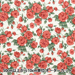 y5z n woeBEt@ubNX sJf[|v J[C 3637075-XPx Liberty Japan oeBWp