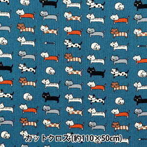 n wV[`O lR JbgNX 110×50cm u[ C-ACS1101-Dx