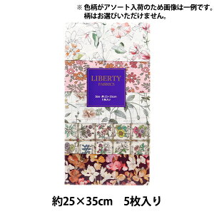 n woeBEt@ubNX JbgNX 5Zbg UL[ebht[ sN C-LIB5-24AW01xoeBWp