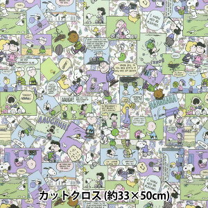 n woeBEt@ubNX ~l[gJbgNX 33×50cm R~bNEXgbvERXX CRDC34865J25Ex