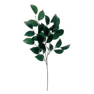  VNt[ wTJL O[ A-41037-051Ax asca AXJ