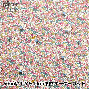 y5z n woeBEt@ubNX ^i[ `[[EuEYEt[Y DC33937-J25Bx Liberty Japan oeBWp