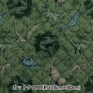 n w͂RۖhL|GXeLg JbgNX 128cm×80cm _Ci\[ O[ CQHP-SC-DI-GRx