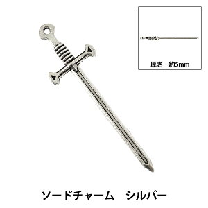 �A�N�Z�T���[�f�� �w�\�[�h�`���[�� �V���o�[ 5mm SLAP25065�x