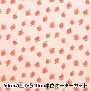 y5z n w͂|GXe XCTCC`S sN HP-SHBER-PIx