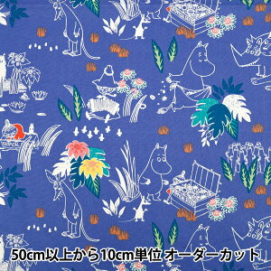 y5z n wIbNX [~ [~J̃WO u[ G-1248-1Cx KOKKA RbJ