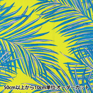 y5z n w}EiA TCnCAvg p[[t CO[ ZK005007x