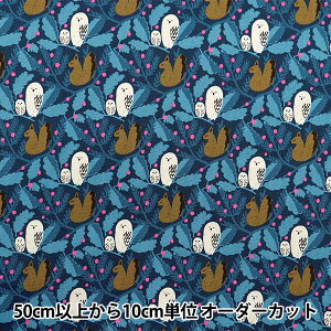 y5z n wkippis (LbsX) IbNX X̕a u[ KPO-84Bx