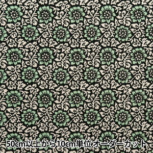 y5z n wSOULEIADO \CA[h Be[WtB[ uG vubN SLFCV-108Cx