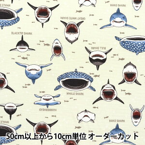 y5z n wIbNX JtLoX TTV[N i` COCAN-SHA-NAx KOKKA RbJ