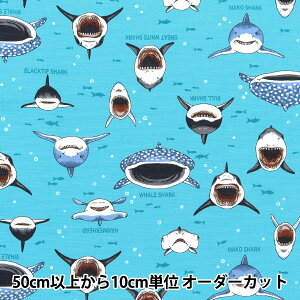 y5z n wIbNX JtLoX TTV[N TbNX COCAN-SHA-SAx KOKKA RbJ