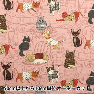 y5z n wIbNX ptAj} sN YGA-71000-1Bx KOKKA RbJ