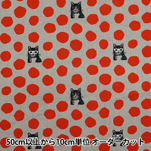 y5z n wechino (G`m) NekoNoe CAT ȖLoX bh EYX-91000-100Cx KOKKA RbJ