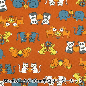 y5z n wIbNX Retro school  YKA-29040-2Bx KOKKA RbJ