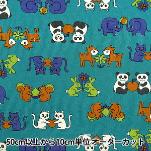 y5z n wIbNX Retro school  YKA-29040-2Cx KOKKA RbJ