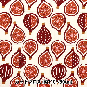 n wV[`O UN/NO JbgNX yumyu 110cm×50cm Li C-NN2320-11Ax