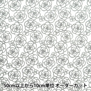 y5z n wXPA ~jJA X[NO[ SQMCAM-SMGYx